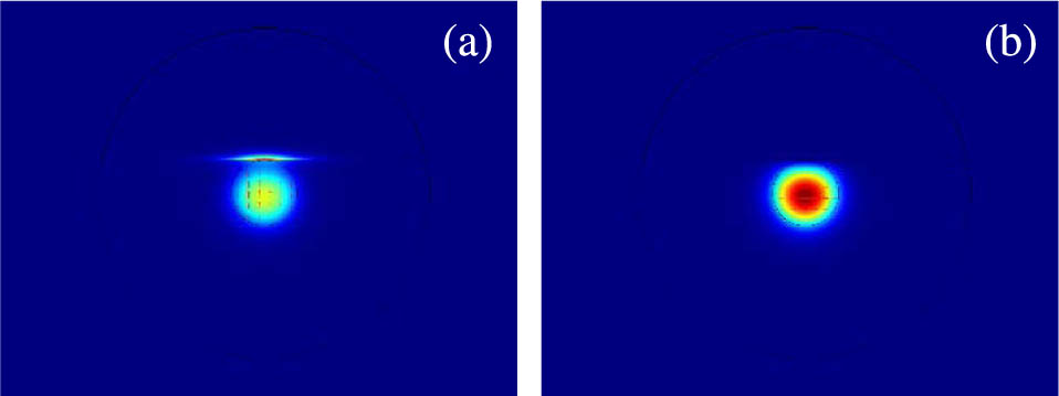 Electric field distribution (a) of y polarization and (b) of x polarization.