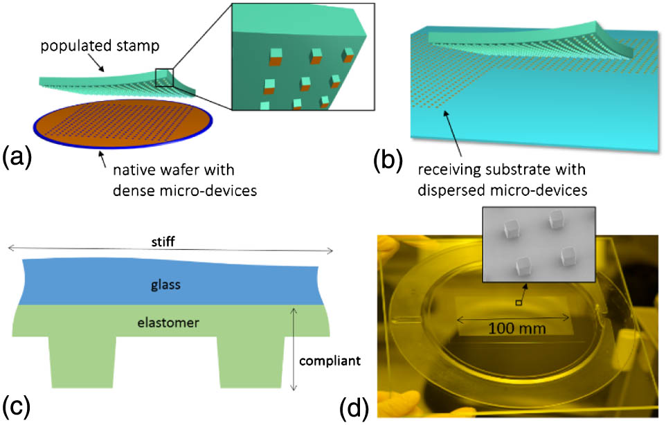 (a) Transfer stamp retrieves an array of micro-devices from a native wafer with densely packed micro-devices and (b) transfers the dispersed micro-devices onto the receiving substrate. (c) A transfer stamp is illustrated in cross section and (d) in a photograph of a transfer stamp with a 100 mm×50 mm active area. The inset shows an electron micrograph of the surface relief on the elastomer stamp.