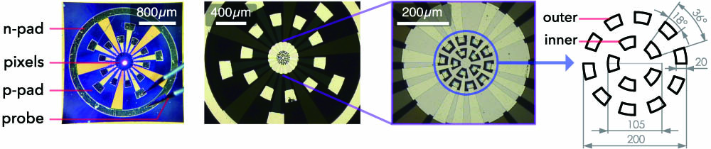 Plan view micrographs of the segmented micro-LED arrays. The magnified micrographs on the right show the array configuration and individual pixel design. A diagram is also included noting the inner and outer pixels (dimensions in micrometers).