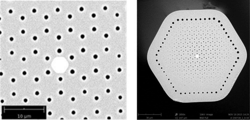 SEM images of the fabricated HNLF.