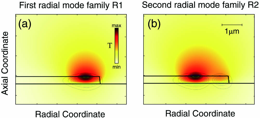 Simulated thermal distribution generated by (a) the first and (b) the second optical radial family modes. The contour lines show the modes’ electric field profiles.