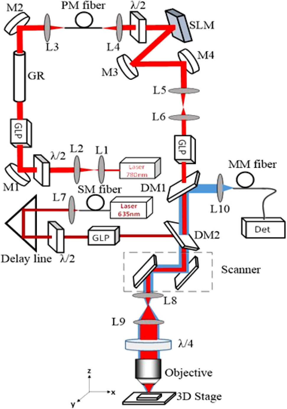 Schematic of the COAT-STED microscope. L, lens; GLP, Glan laser polarizer; M, mirrors; DM1 (T: 720–1200 nm, R: 350–720 nm), DM2 (T: 650–800 nm, R: 600–650 nm): dichroic mirrors; GR, glass rod; λ/2, half-wave plate; λ/4, quarter-wave plate; Det, PMT or CCD; SM fiber, single mode fiber; PM fiber, polarization maintaining fiber; MM fiber, multimode fiber.
