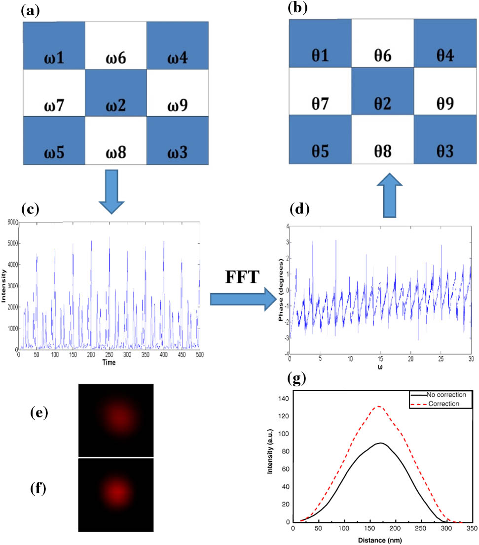 (a)–(d) Steps of the COAT phase measurement for directly achieving wavefront correction phase patterns. (e) PSF measured by imaging a GNP mounted on a slide when passing the unmodulated beam though the depletion beam path. (f) PSF of depletion beam after correction. (g) Intensity profiles of the depletion beam before and after correction.