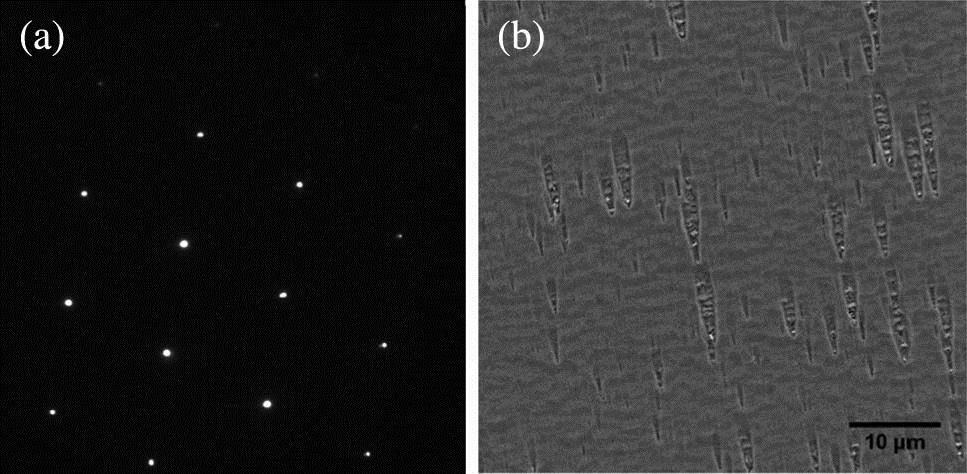 (a) [110]-pole TEM pattern of fully disordered lightly Te-doped Ga0.74In0.26P sample with n=7×1016 cm−3. (b) SEM image of the etch pits of Ga0.74In0.26P film, and EPD=(3±0.5)×106 cm−2.