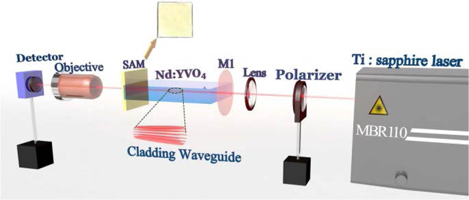 Schematic of the experimental setup for Q-switched waveguide laser. Inset is an optical photograph of the graphene/WS2 heterostructure on sapphire substrate.