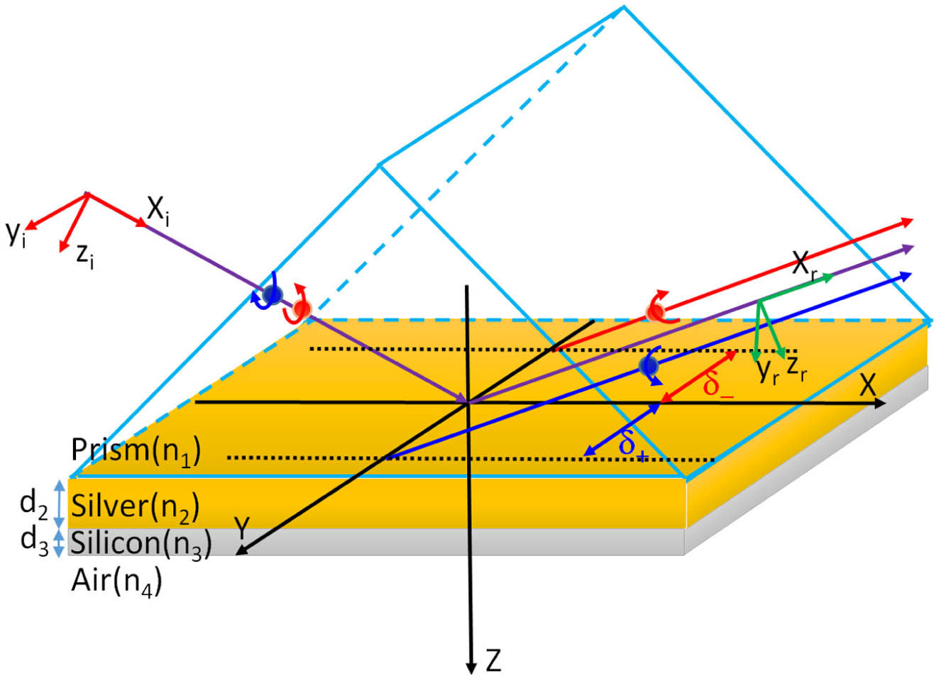 Schematic of the photonic SHE of a beam upon reflection of a GWSPR configuration. δ+ and δ− indicate the transverse displacements for left- and right-circular polarization components, respectively.