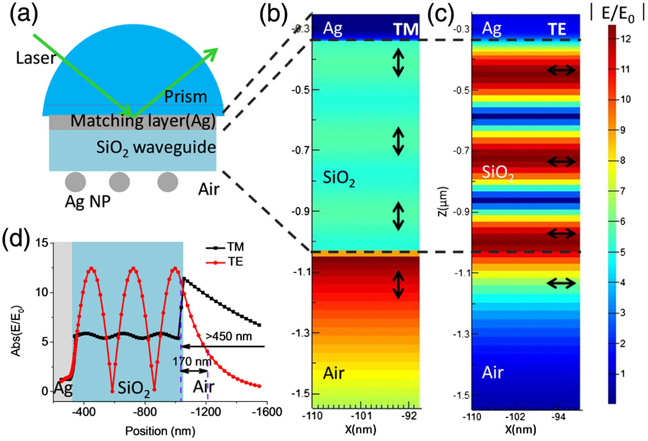 (a) Schematic diagram of the WEF-LSP configuration. EM distributions in the waveguide layer and adjacent air layer under (b) TM and (c) TE light. Arrows disclose the polarization directions in the waveguide layers. The thickness of the waveguide is 560 nm. (d) Plots of the electric intensities along the z coordinate away from the prism. Different penetration depths of the electric field in air were observed for the TE and TM modes.