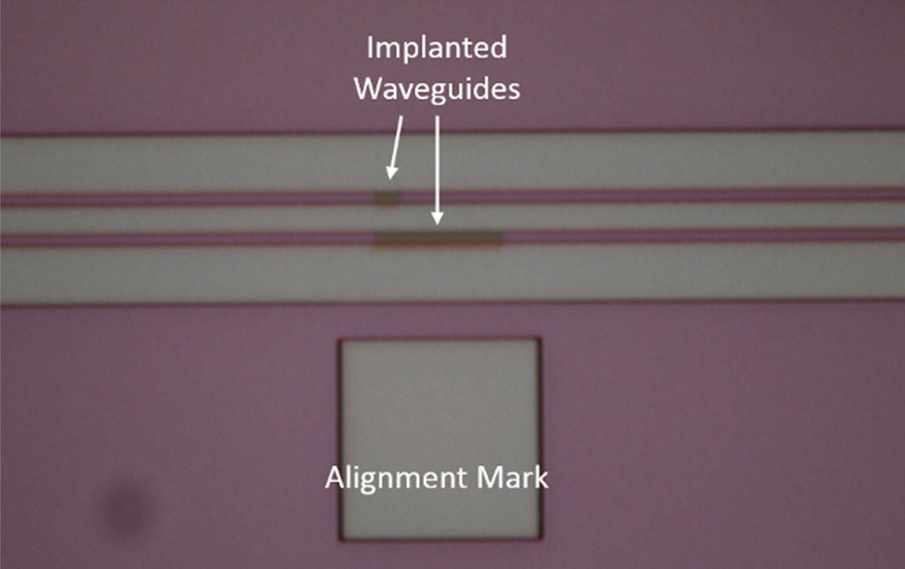 Optical microscope image of the Ge implanted waveguides on both arms of the MZI.