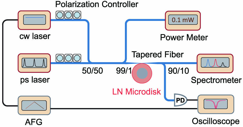Illustration of the experimental setup for investigation of nonlinear effects in LN microdisks. AFG, arbitrary function generator; PD, photodetector.