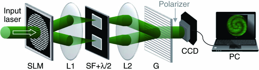 Schematic of the experimental setup for generating the desired EV-VOFs. L1 and L2, a pair of lenses; λ/2, half-wave plates; SF, spatial filter; G, Ronchi phase grating; PC, computer.