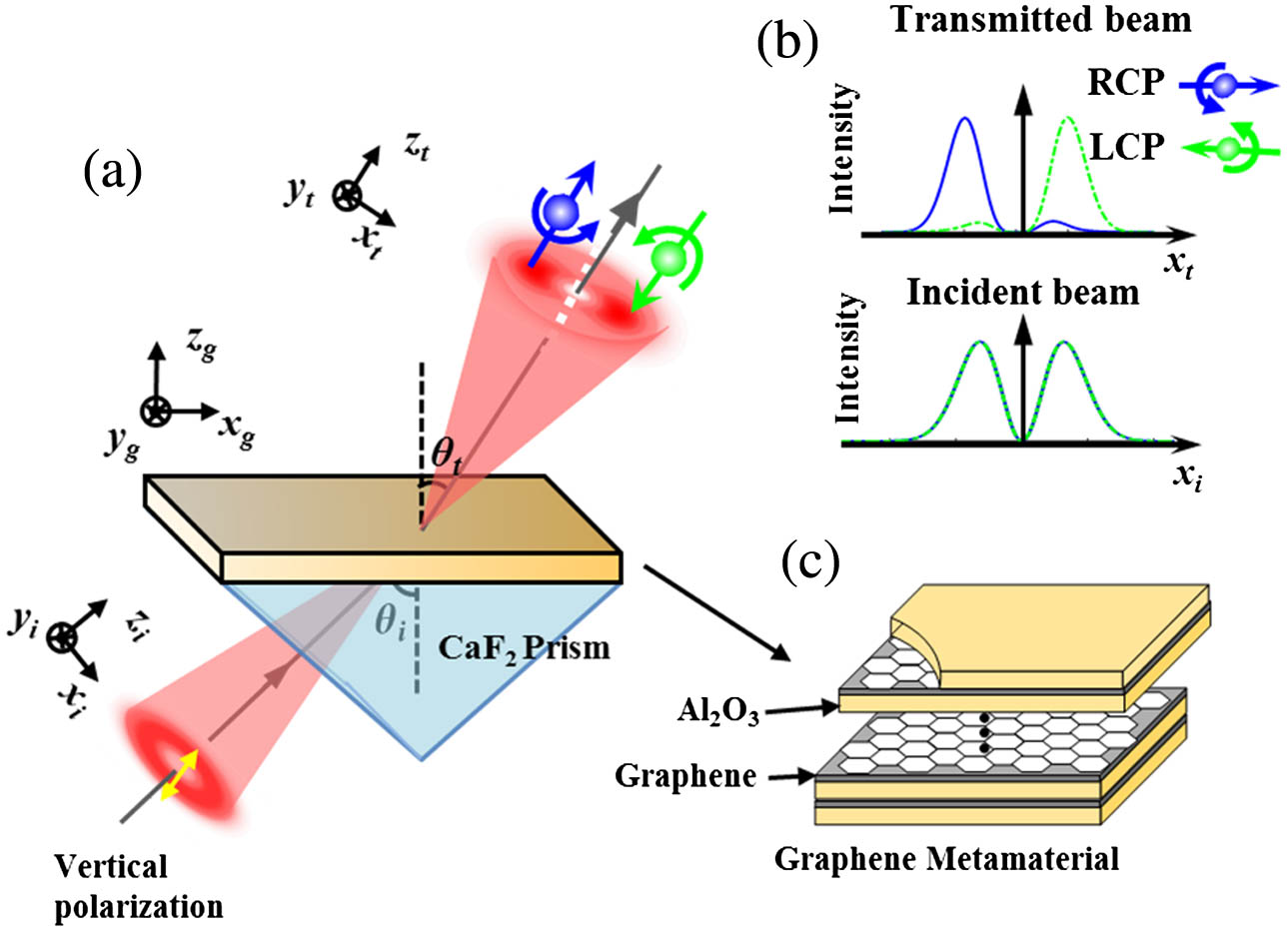 (a) Schematic of the OAM-dependent spin splitting. A vertically polarized LG beam is coupled into a graphene metamaterial slab through a CaF2 prism. The two opposite spin components of the transmitted beam will separate along the xt axis. (b) The intensity distributions of the RCP and LCP components of the incident and transmitted beams along the xi and xt axes, respectively. (c) The graphene metamaterial composed of alternating graphene sheets and Al2O3 layers.