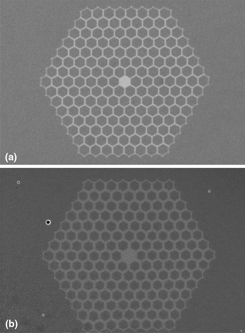 SEM images of all-solid soft glass ANDi PCFs. (a) NL21 series: core and hexagonal lattice (light color) made of F2 glass, lattice inclusions and lattice surrounding made of NC21A glass. (b) NL38 series: SF6 in the core and lattice, F2 in the inclusions and the surrounding tube.