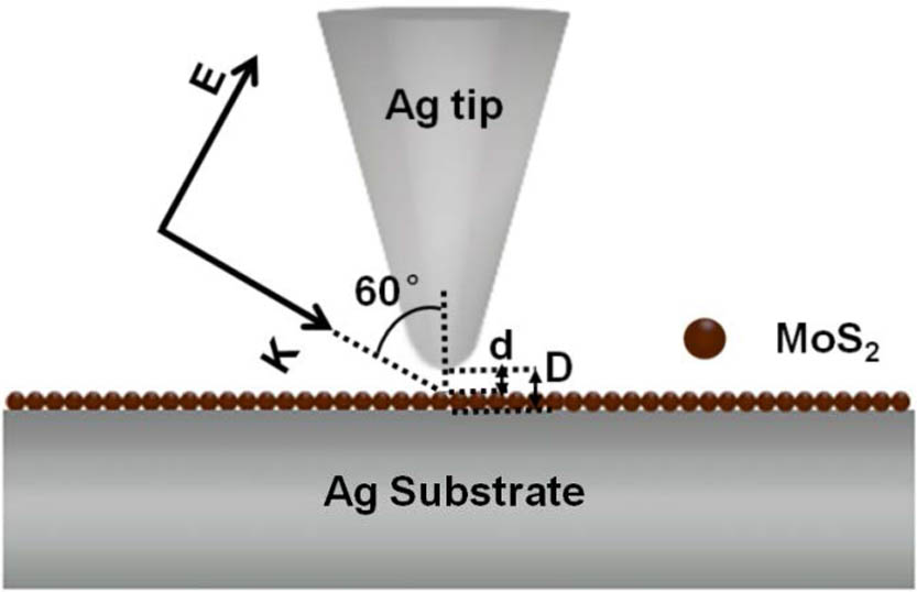 Schematic illustration of TES configuration using the Ag tip and a substrate with monolayer MoS2 on the surface.