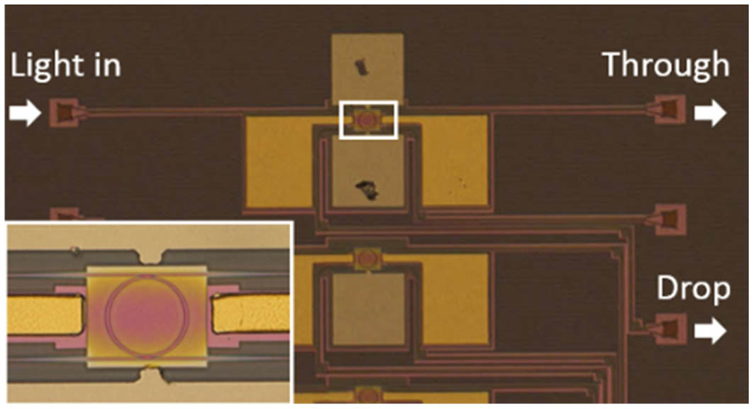 Optical micrograph picture of the device. Inset shows a detail of the MRR.