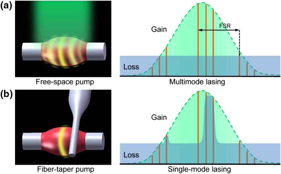 Principle of single WGM lasing in a polymer bottle microresonator. (a) Multimode lasing behavior under uniform pump. (b) Single WGM lasing by adjusting the coupling position to suppress high-order modes.