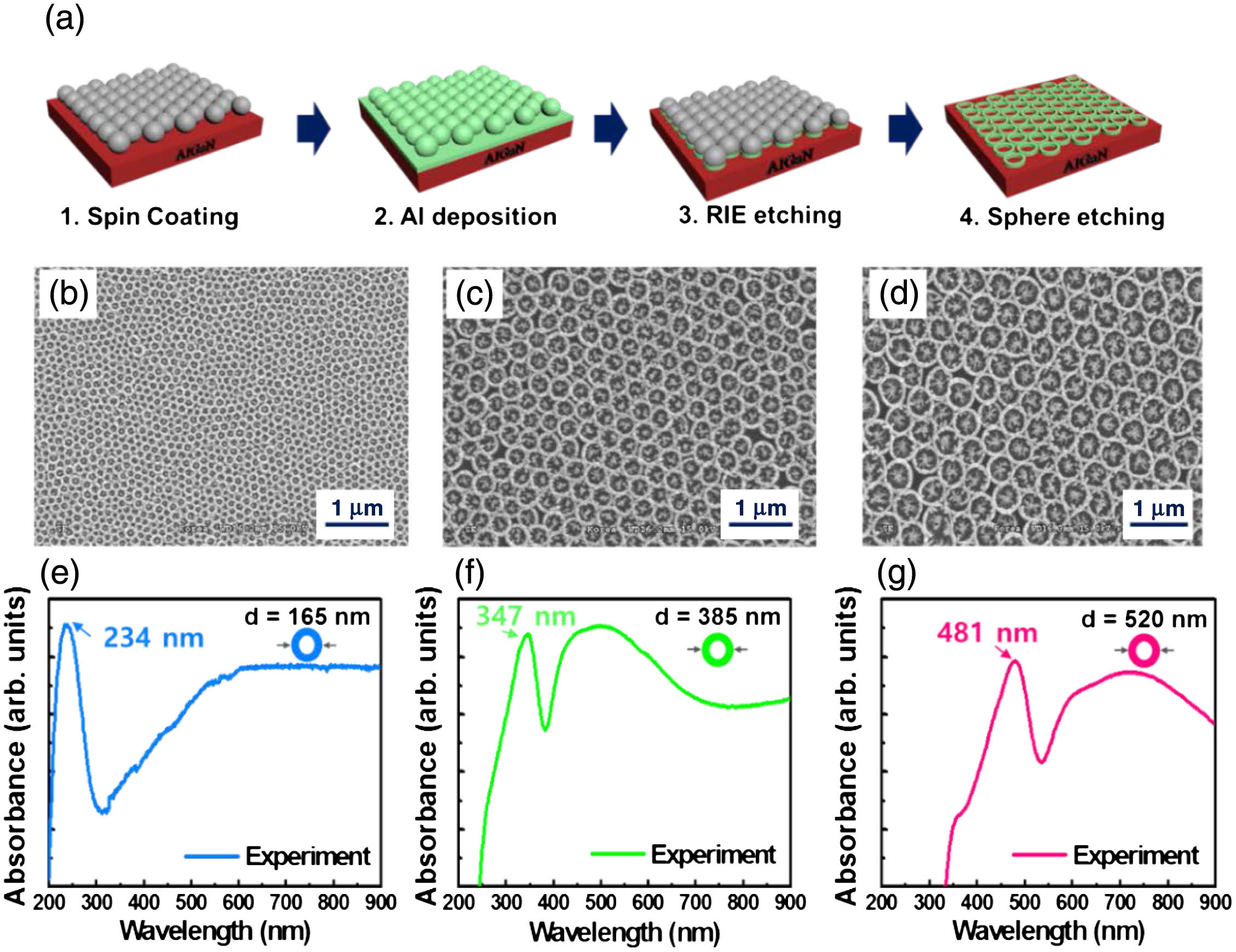 (a) Schematics of the processing steps used to fabricate Al nanoring arrays using SiO2 nanospheres. (b)–(d) SEM images showing top views of Al nanoring arrays fabricated using SiO2 nanospheres with diameters of 150, 300, and 450 nm, respectively. (e)–(g) Experimental absorbance spectra of the Al nanorings with outer diameters of 165, 385, and 520 nm, respectively.