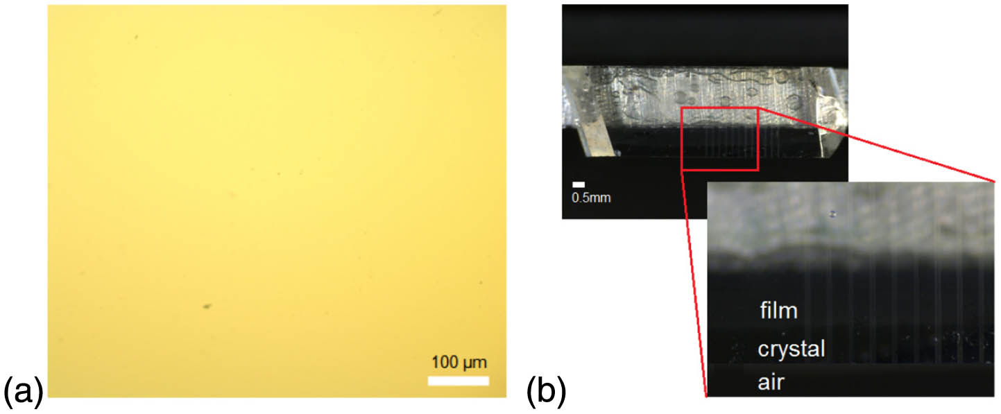 (a) Optical microscope image of the surface of SWCNT/PMMA film (200× magnification); (b) photograph of the Tm:KLuW crystal containing surface channel WGs with the deposited SWCNT/PMMA film.