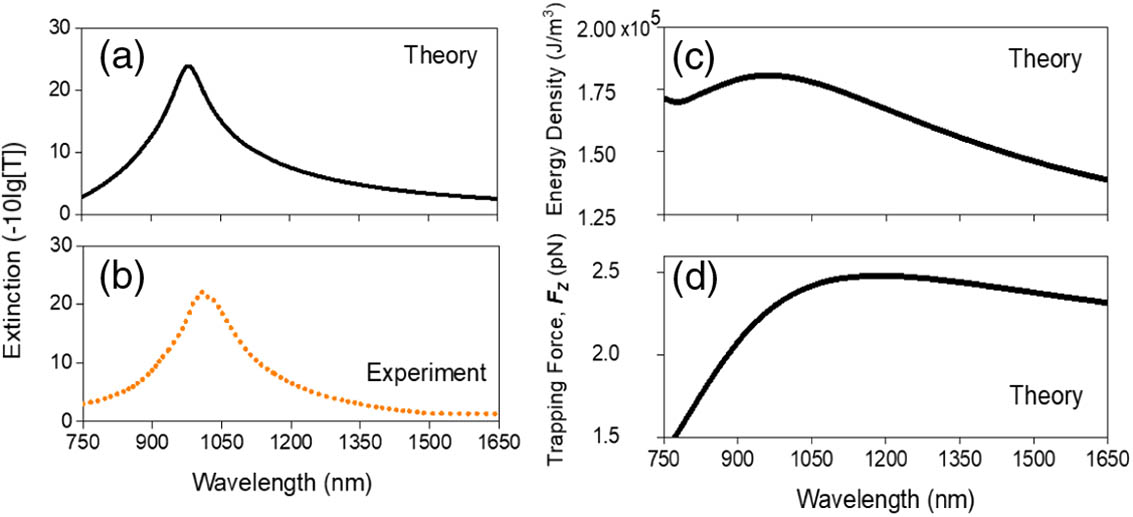 (a) Simulated and (b) experimental extinction curves extracted from the transmission spectra; (c) energy density from the highest near-field confined area and (d) trapping force along the z direction as a function of wavelength.