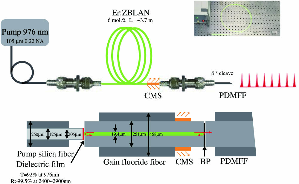 Experimental setup of the pulsed all-fiber Er:ZBLAN laser (upper) and inner image of the fiber connectors (lower). BP, black phosphorus; CMS, clad-mode stripper; PDMFF, power-delivering multimode fluoride fiber. The inset shows a photograph of the pulsed all-fiber Er:ZBLAN laser.