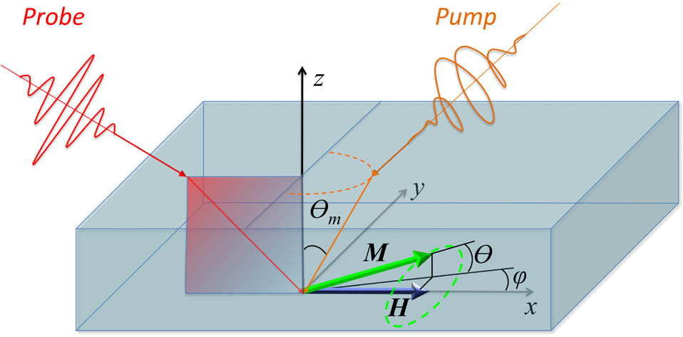 Configuration of the sample illumination with the pump and probe laser pulses. H is the external magnetic field. Before optical excitation, magnetization M is directed along H. A circularly polarized pump beam induces the magnetization dynamics, resulting in precession along a trajectory that is depicted by the green dashed line.