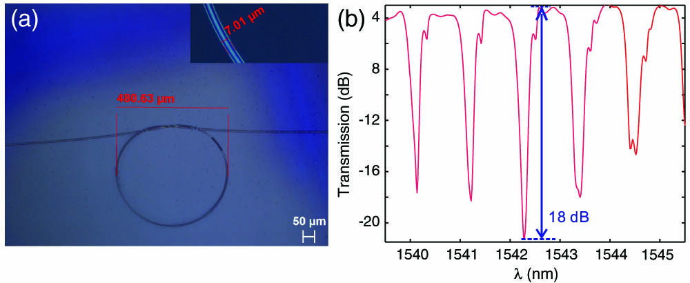 (a) Microscopic images of the MKR with a loop diameter of D≈480.6 μm, and the inset shows the waist region of the MF with a diameter of d≈7.0 μm. (b) Transmission of the MKR structure where the largest obtained ER is ∼18.0 dB at a resonance wavelength around 1542.3 nm.