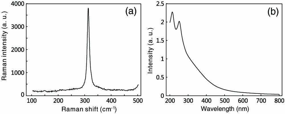 (a) Raman spectrum of the SnS2 nanosheets. (b) Absorption spectrum of the SnS2 nanosheets.