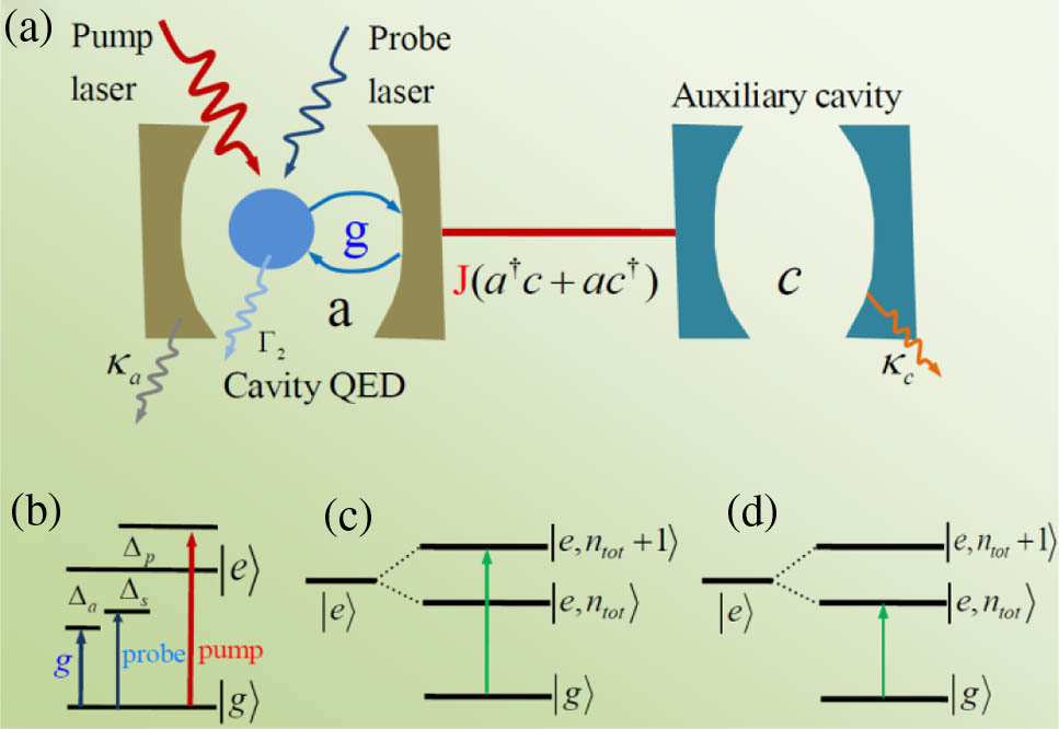 (a) Schematic of the C-QED system coupled to an auxiliary cavity, and the two cavities coupled to each other via the photon-hopping interaction; (b) two energy levels of a QD coupled to a single-cavity mode and two optical fields; (c) and (d) are the energy level transitions with an entangled state |ntot⟩ (na and nc represent the number state of the photon mode of cavity a and cavity c; ntot=na+nc is the total photon number of the two cavities).