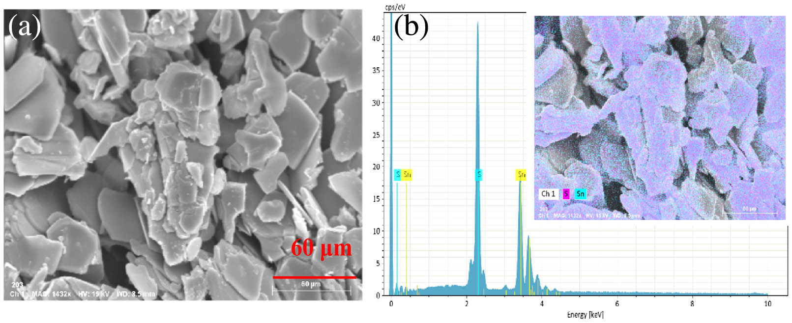 (a) SEM image of the SnS2 nanosheet. (b) EDX spectroscopy of the SnS2 nanosheet. Inset of (b): surface distribution of elements.