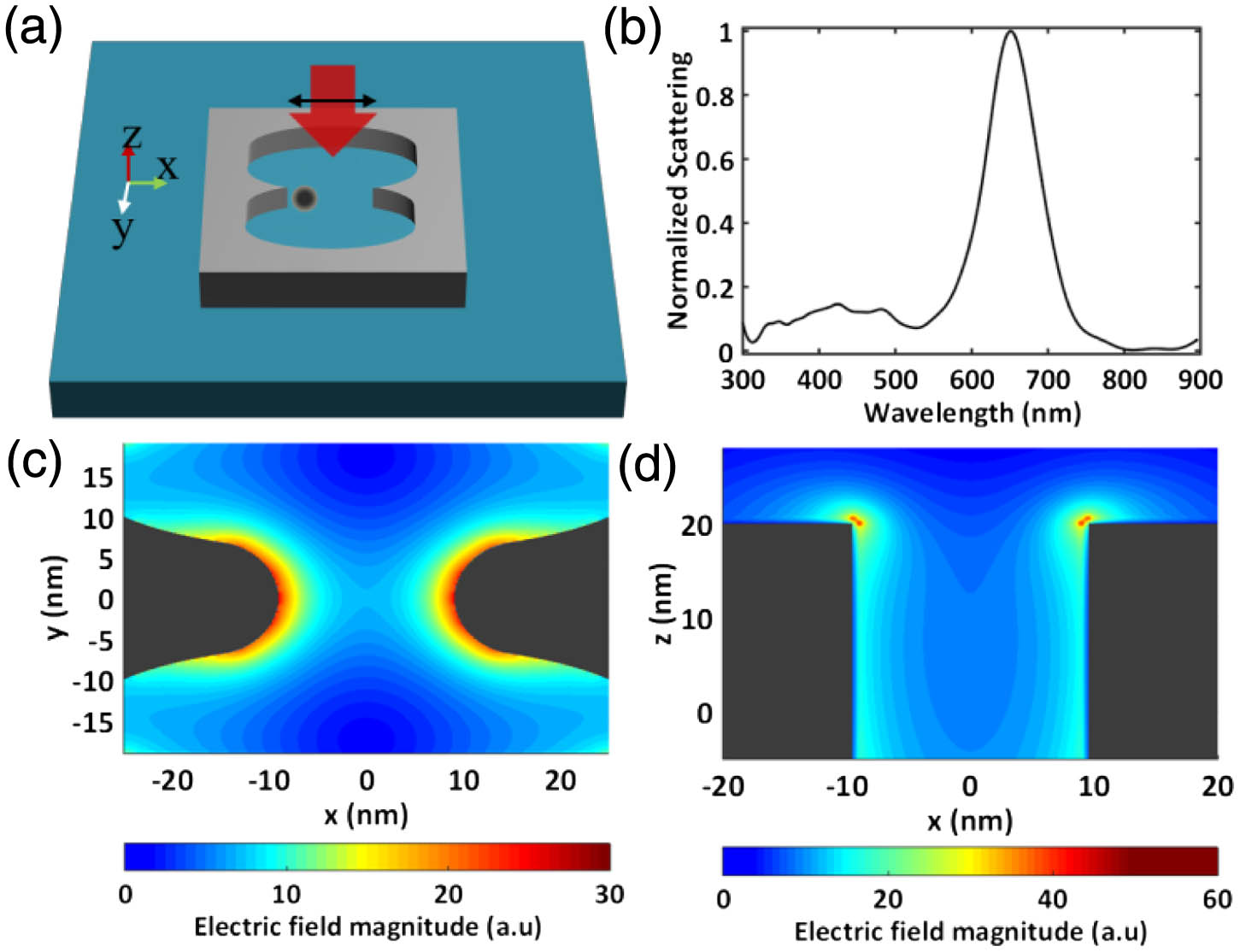 Optical trapping of quantum dots for the study of the strong light–matter interaction. (a) Nanotweezers with double holes in a silver patch. (b) Scattering spectrum of the nano-structure without quantum dots. The spectrum is normalized to its maximum. (c) Electric field distribution in the x–y plane located at the top surface of the silver patch. (d) Electric field distribution in the x–z plane bisecting the nanostructure. Gray areas indicate the structures.