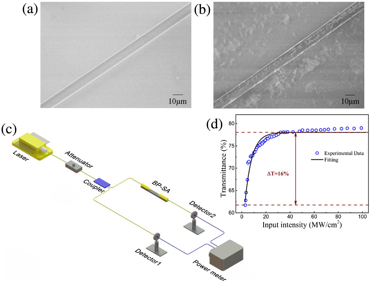 Optical images of (a) bare microfiber and (b) microfiber coated with BP flakes, (c) experimental setup of the balanced twin-detector measurement device, (d) the measured saturable absorption and its corresponding fitting curve.