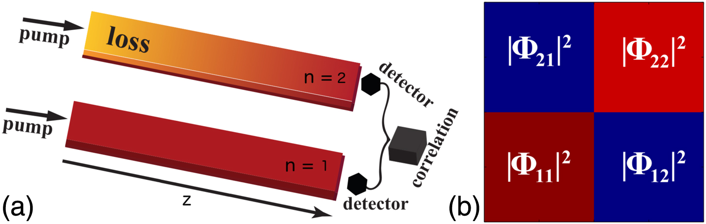 (a) Scheme of generation of photon pairs through the spontaneous parametric down-conversion in a nonlinear PT-symmetric coupler with linear absorption in the second waveguide. (b) Graphical representation of biphoton correlation function |ϕns,ni|2.