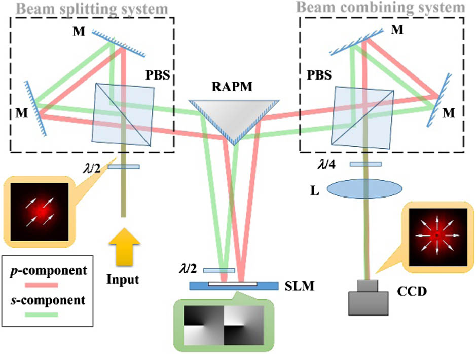 Experimental setup for generating arbitrary vector beams. λ/2, half-wave plate; PBS, polarizing beam splitter; M, mirror; RAPM, right-angle prism mirror; SLM, phase-type spatial light modulator; λ/4, quarter-wave plate; L, lens. The elements enclosed in the dashed boxes compose triangular common-path interferometers.