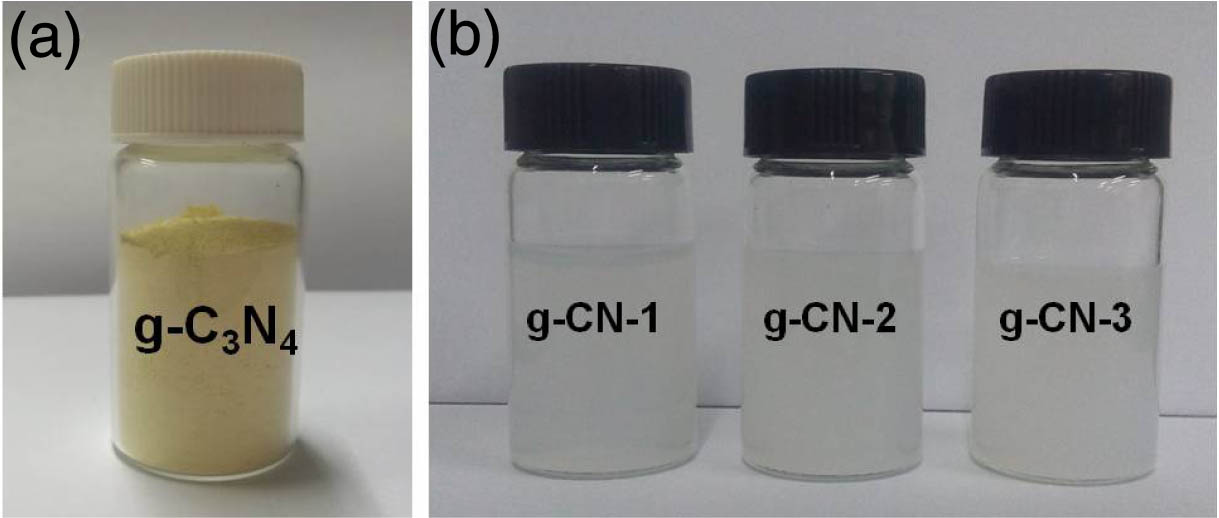 Photographs of (a) g-C3N4 powder and (b) prepared g-C3N4 dispersions.