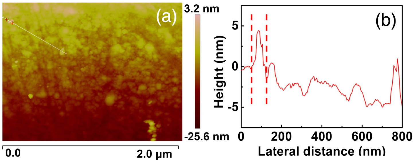 (a) AFM image and (b) corresponding height profile of prepared g-C3N4 nanosheets.