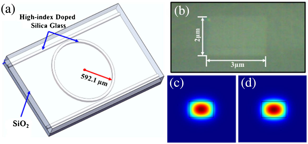 Device schematic. (a) Schematic of the four-port high-Q MRR. The waveguide core is high-index doped silica glass, which is surrounded by SiO2 cladding. (b) SEM image of the waveguide cross section with 2 μm×3 μm dimension. (c), (d) Calculated mode profiles for TE and TM modes, respectively.