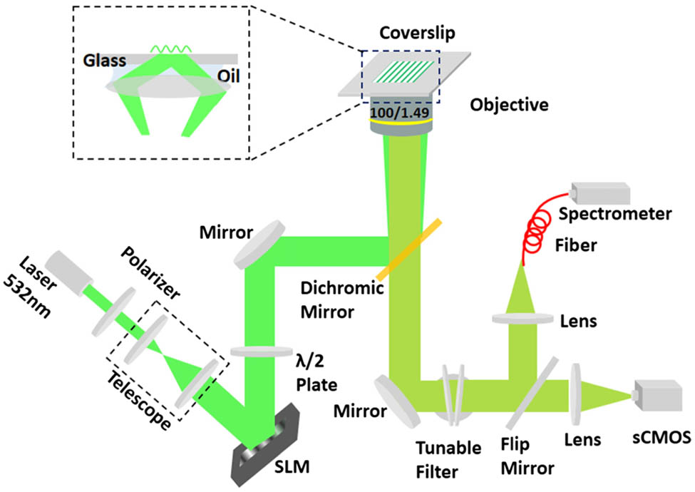 Schematic of wide-field superresolution Raman imaging system.