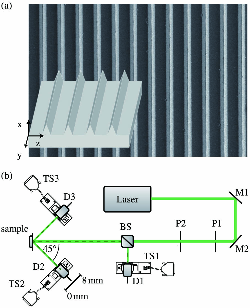 (a) Scanning electron microscope (SEM) image and schematic, three-dimensional representation of the riblet structure under study. (b) Scheme of the optical setup of the riblet sensor described in Refs. [8,9]: the laser beam is incident normal to the riblet sample’s surface, and the intensity distribution of the scattered light is detected in the 0° and ±45° directions. Degradation of the riblet structure is measured as a decrease in intensity around 45°. D1–D3, Si-PIN-diodes; BS, beam-splitter; M1, M2, mirrors; TS1–TS3, motorized translation stages.