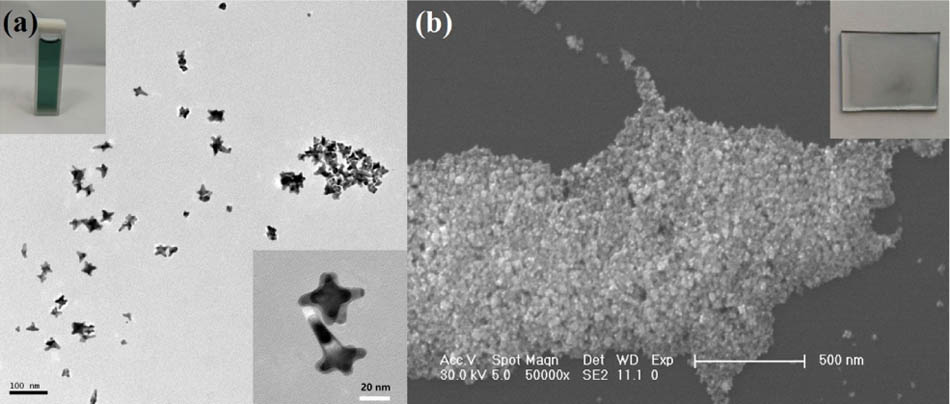 Characterization of the GNSs and GNS film. (a) TEM image of GNSs at scale of 100 nm; inset: photographs of GNS aqueous solution and the TEM image of GNSs at a scale of 20 nm. (b) SEM image of GNS film at scale of 500 nm; inset: the photograph of GNS film.