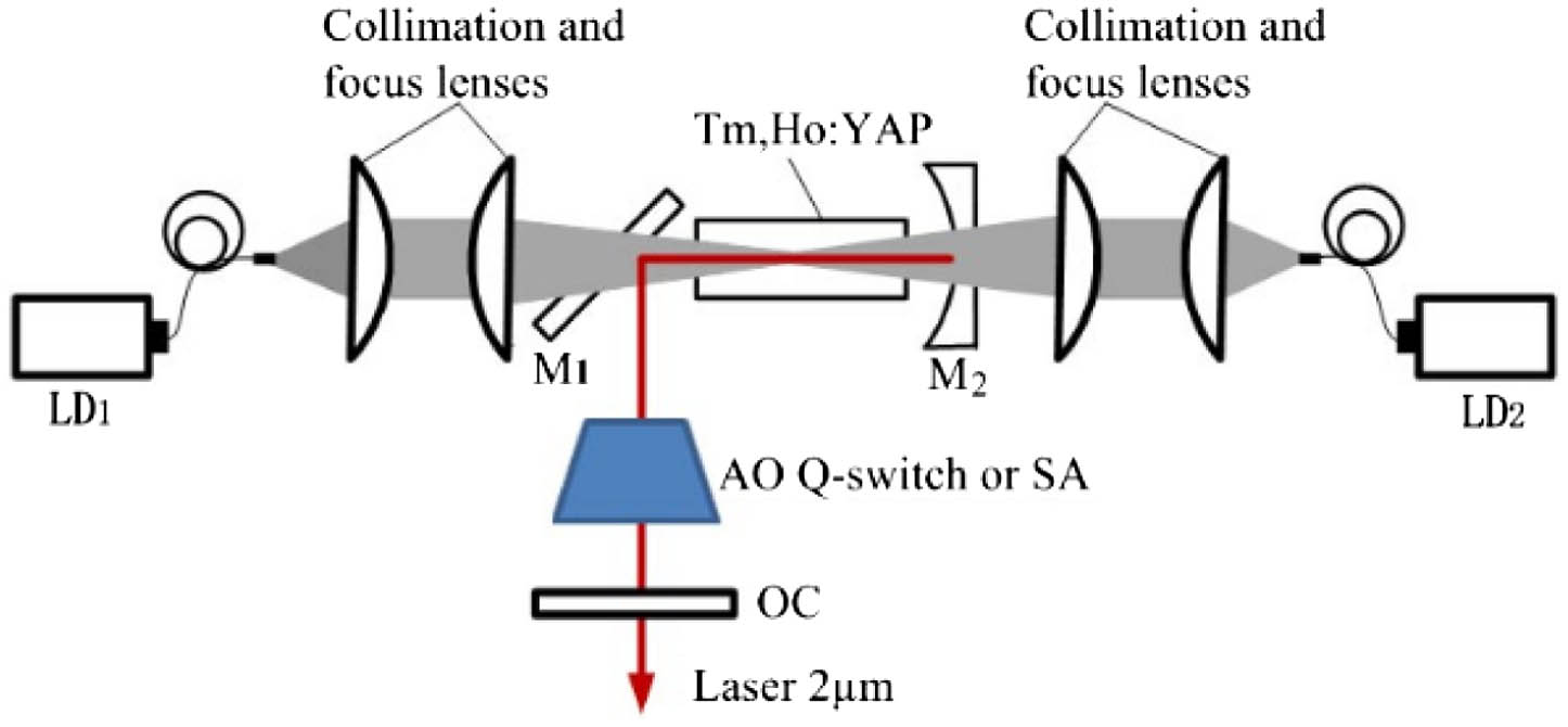 Schematic of the experimental setup.