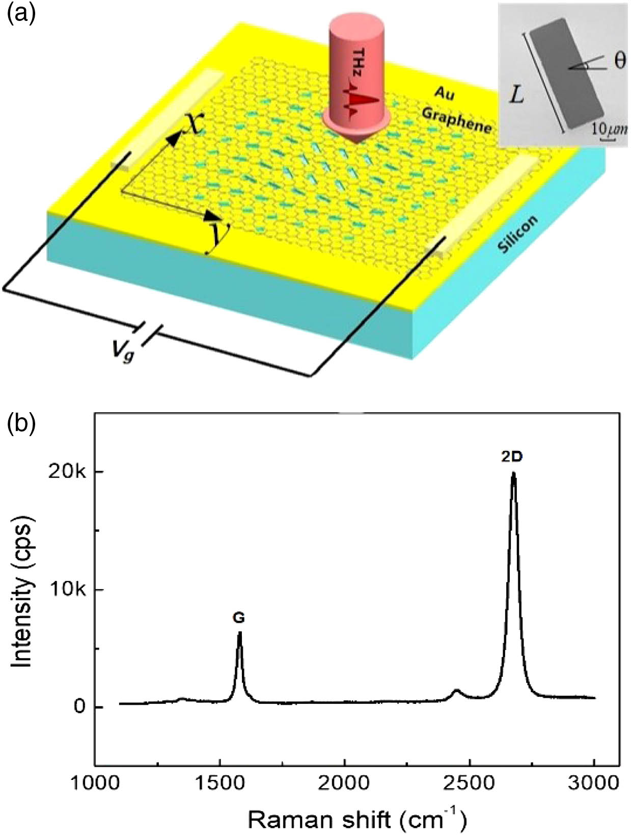 (a) Schematic of the active THz meta-lens. The lens consists of a high-resistance silicon substrate, an Au metasurface of rectangular aperture antennas with different lengths and rotations, and a monolayer graphene. The incident THz wave is left-handed circularly polarized. The inset shows an SEM photograph of a unit cell of the apertures. (b) Raman spectrum of the monolayer graphene on the top of the Au metasurface.