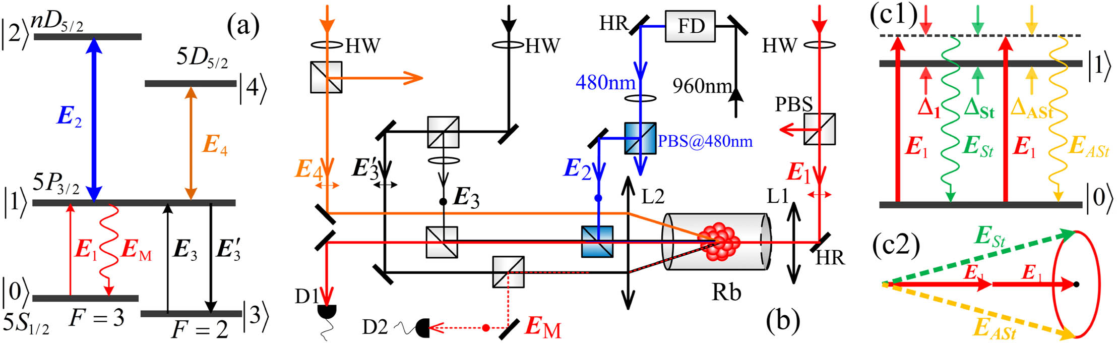 (a) Five-level K-type energy level diagram depicting the generation of the MWM process in the Rb85 atomic system. (b) Experimental setup. D, photodetector; L, lens; PBS, polarized beam splitter at corresponding wavelength; FD, frequency doubler; HR, high-reflectivity mirror; HW, half-wave plate at corresponding wavelength. Transverse double-headed arrows and filled dots indicate the horizontal polarization and vertical polarization of incident beams, respectively. Five beams derived from the four laser systems are coupled into the 10 mm long Rb cell wrapped with μ-metal sheets. The transition |0⟩↔|1⟩ is coupled by the beam E1 (780.2 nm). Rydberg transition |1⟩↔|2⟩ is coupled by beam E2 (480 nm), which counterpropagates with beam E1. |1⟩↔|3⟩ is connected by beams E3 and E3′ (780.2 nm), which are derived from the same ECDL, and |1⟩↔|4⟩ is coupled by beam E4 (775.9 nm). The EIT signal and MWM spectrum signals are received by D1 and D2, respectively. (c1) Energy schematic diagram for SP-FWM process; (c2) phase-matching condition of SP-FWM process.