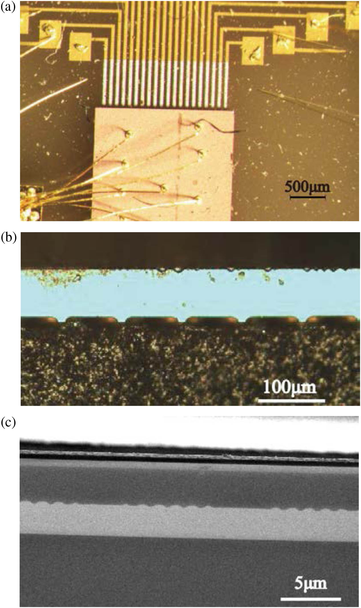 (a) Optical microscope image of SBG-QCL array bonded on patterned AlN submount; (b) magnified view of the front facet of the array; (c) SEM image of the sampled grating.