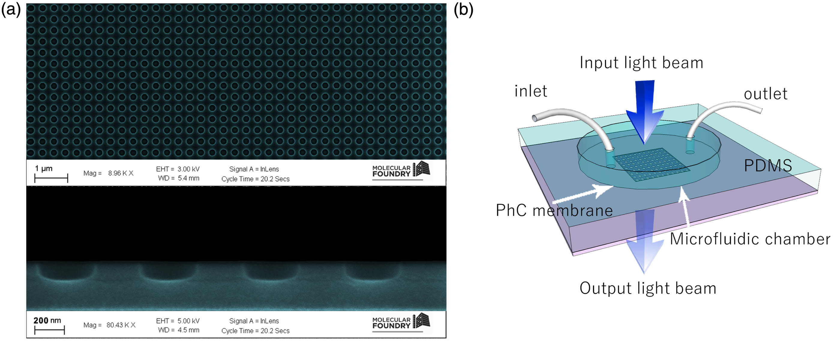 (a) Scanning electron microscopy image of the PhCM sample. The design consists of air cylindrical holes arranged in a square lattice (a=521 nm, r=130 nm, h=78 nm). (b) Sketch of the device: a PDMS microfluidic chamber was bonded to the PhCM. The inlet and outlet allow the controlled injection of the fluid.