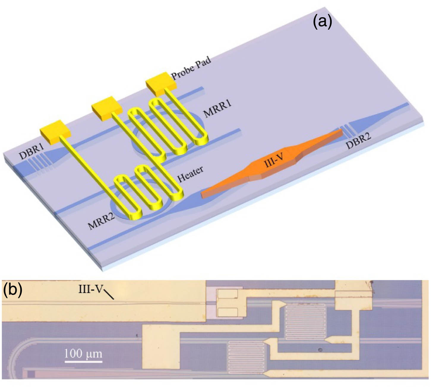 (a) Schematic of the widely tunable III-V-on-silicon laser; (b) microscope image of the fabricated laser.