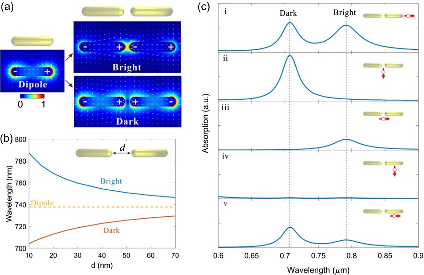 Au nanorod dimer excitation with an electric dipole. (a) Mode profile and surface charge distribution of a longitudinal dipole mode in a single Au nanorod and hybridized bright and dark modes in a nanorod dimer; (b) resonant wavelengths of bright and dark modes as a function of dimer spacing d. The yellow dashed line denotes the resonant wavelength of a dipole mode in a single rod. The length and diameter of each nanorod are 95 and 20 nm, respectively. (c) Absorption spectra of the Au nanorod dimer under different electric dipole excitation conditions. The dimer spacing d is 10 nm. The electric dipole is located 20 nm away from the Au nanorod dimer. The red arrow indicates the electric dipole moment orientation and position relative to the nanorod dimer. The bright and dark modes are located at the wavelengths of 791.0 and 704.3 nm, respectively.