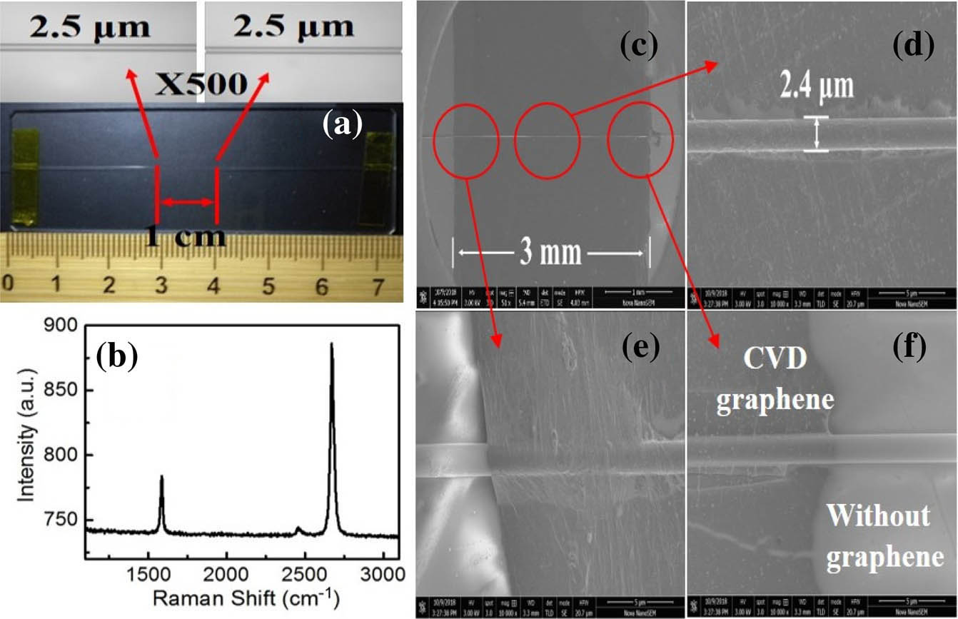 Schematic of the GMF. (a) Microscope image of the microfiber. (b) Raman spectrum of the graphene. (c) SEM image of the GMF. (d)–(f) Close-up SEM images of the dashed frame area from the GMF shown in (c).