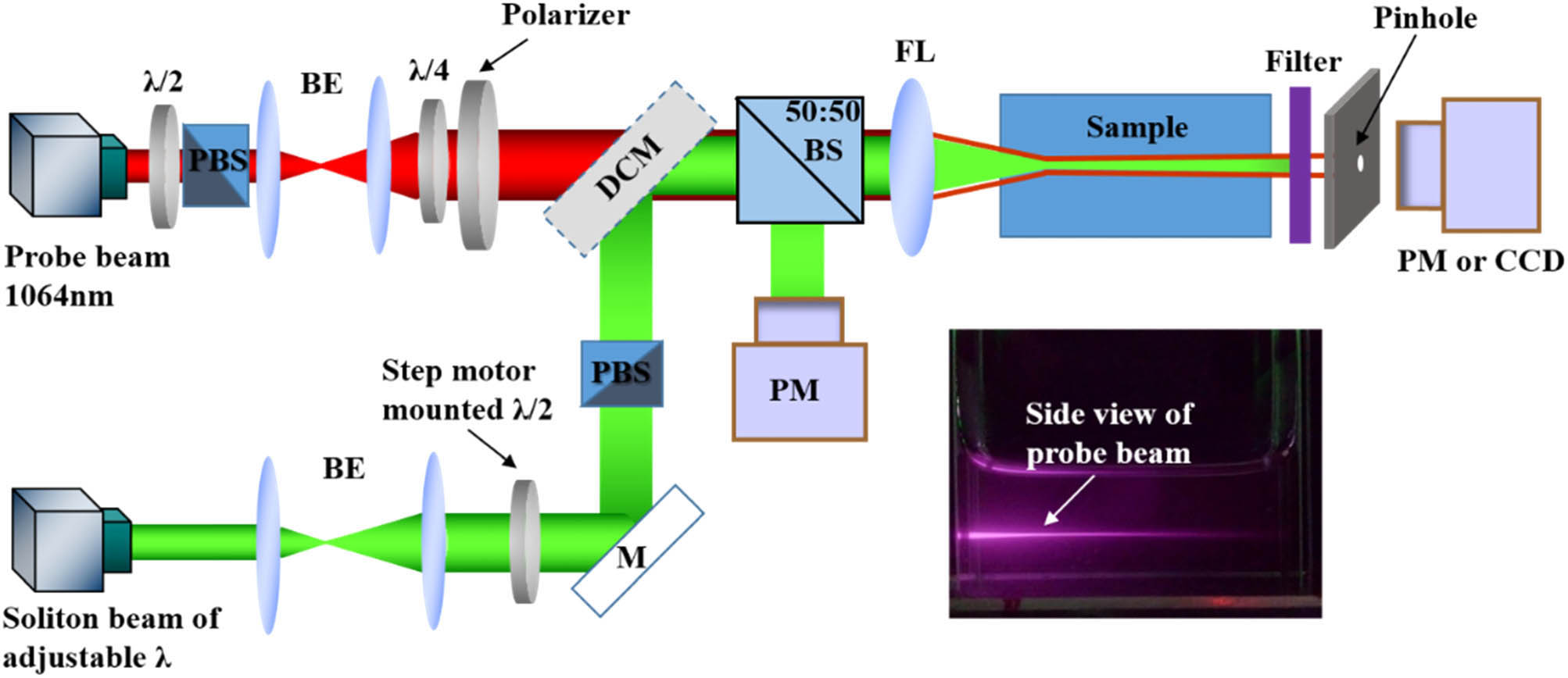 Schematic of the experimental setup. A linearly polarized 1064 nm probe beam is sent through a soliton channel created by a pump beam of tunable wavelength from 700 to 960 nm in a suspension of gold nanorods. The polarizer before the dichroic mirror is to establish a linearly polarized light for the probe beam. BE, beam expander; DCM, dichroic mirror; FL, focusing lens; M, mirror; PBS, polarizing beam splitter; PM, powermeter. The insert shows the guidance of an infrared probe beam of 1064 nm wavelength through a 4-cm-long cuvette of gold nanoparticle suspension by a soliton-induced waveguide formed typically at a visible wavelength of 532 nm.