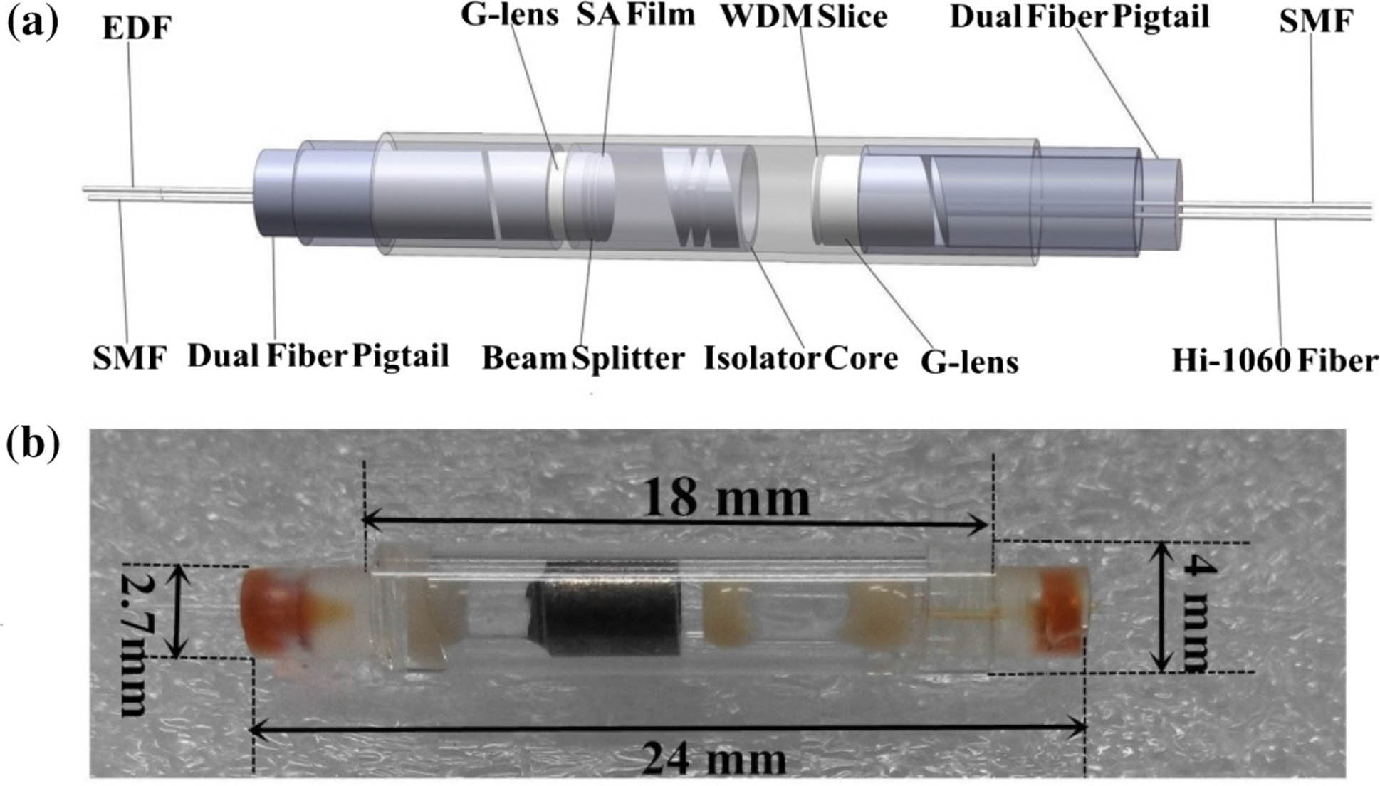 (a) Internal schematic setup of the highly integrated optical device. EDF, erbium-doped fiber; SMF, single-mode fiber; G-lens, gradient-index lens; SA film, saturable absorber film; WDM slice, wavelength division multiplexer slice. (b) Image and size of the proposed optical device.