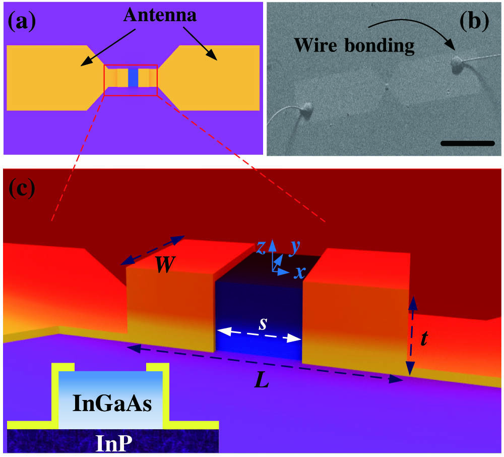 Schematic of the antenna-assisted subwavelength ohmic Au–InGaAs–Au photodetector (not drawn to scale). (a) Full view of the schematic of the photodetector. (b) Scanning electron microscope image of the fabricated device with wire bonding. The scale bar represents 1 mm. (c) The zoom in tridimensional view for the central part of the structure. L is the length of the semiconductor, and s is the spacing between the edges of the two ohmic contacts. W and t are the width and thickness of the InGaAs layer, respectively. The left-bottom inset is the cross section of the In0.53Ga0.47As/InP detector.