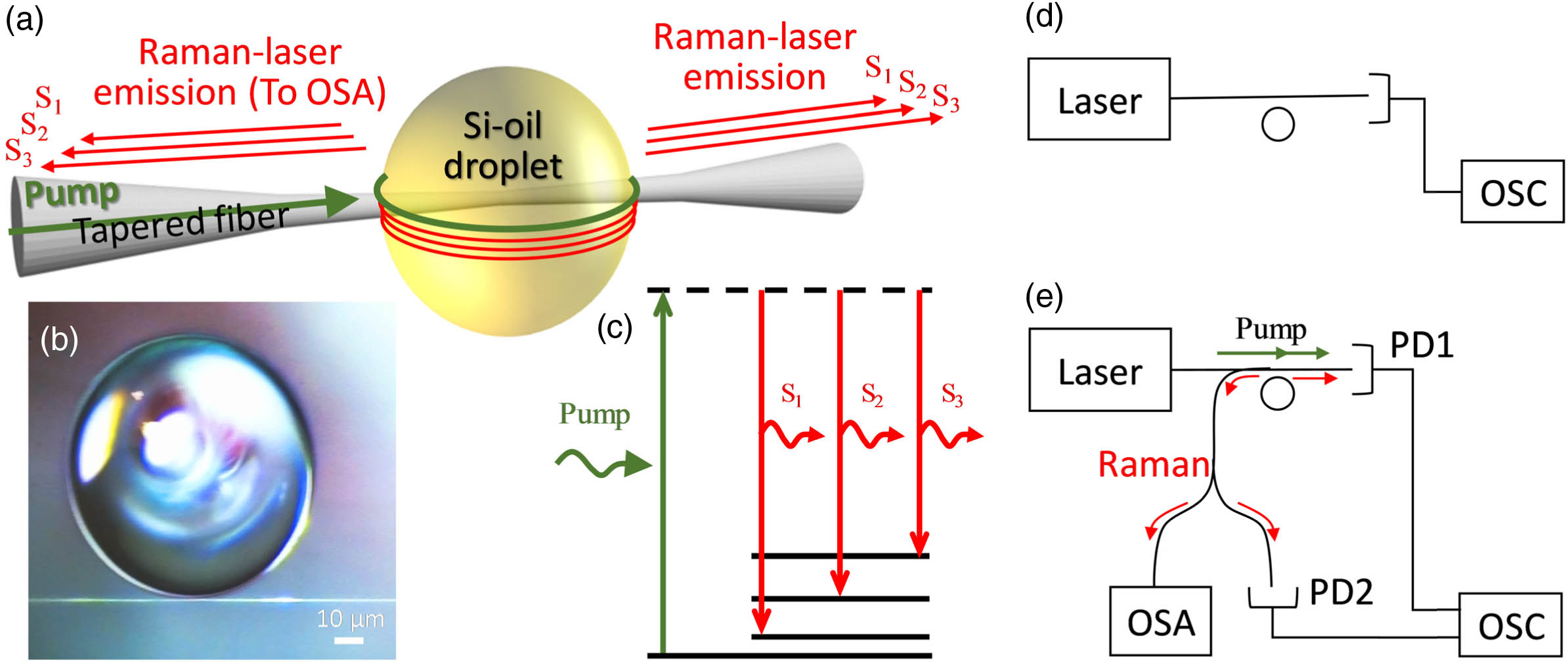 Experimental setup. (a) Coherent emission of multiple Raman laser lines from a liquid droplet resonator. The green arrow represents the pump; red arrows represent forward and backward stimulated Raman emission. (b) Micrograph of our 78 μm diameter silicone oil droplet coupled to a tapered fiber (shown below). (c) Energy-level diagram illustrating three states involved in the Raman spectra. (d) Experimental setup for characterizing the resonator’s optical quality factor by slowly scanning the laser frequency through resonance and measuring the bandwidth of the depth in the transmission. Also, fast scan through resonance similarly allows measuring of the optical quality, but at the temporal domain, relying on the optical ringdown effect. (e) Experimental setup for measuring Raman laser, where the backward Raman laser is directed to an optical spectrum analyzer (OSA) and to a photodetector (PD).